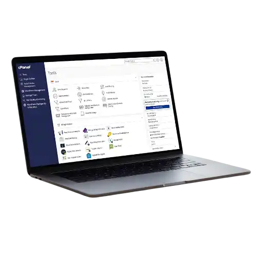 lenzhost web hosting control panel with cPanel for managing South African business websites